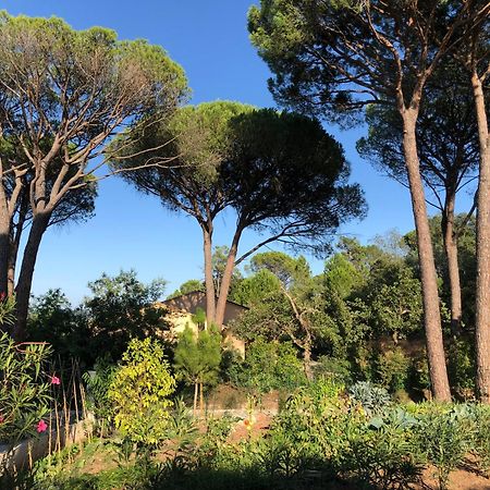 Sous Les Pins Parasols Vidauban Buitenkant foto