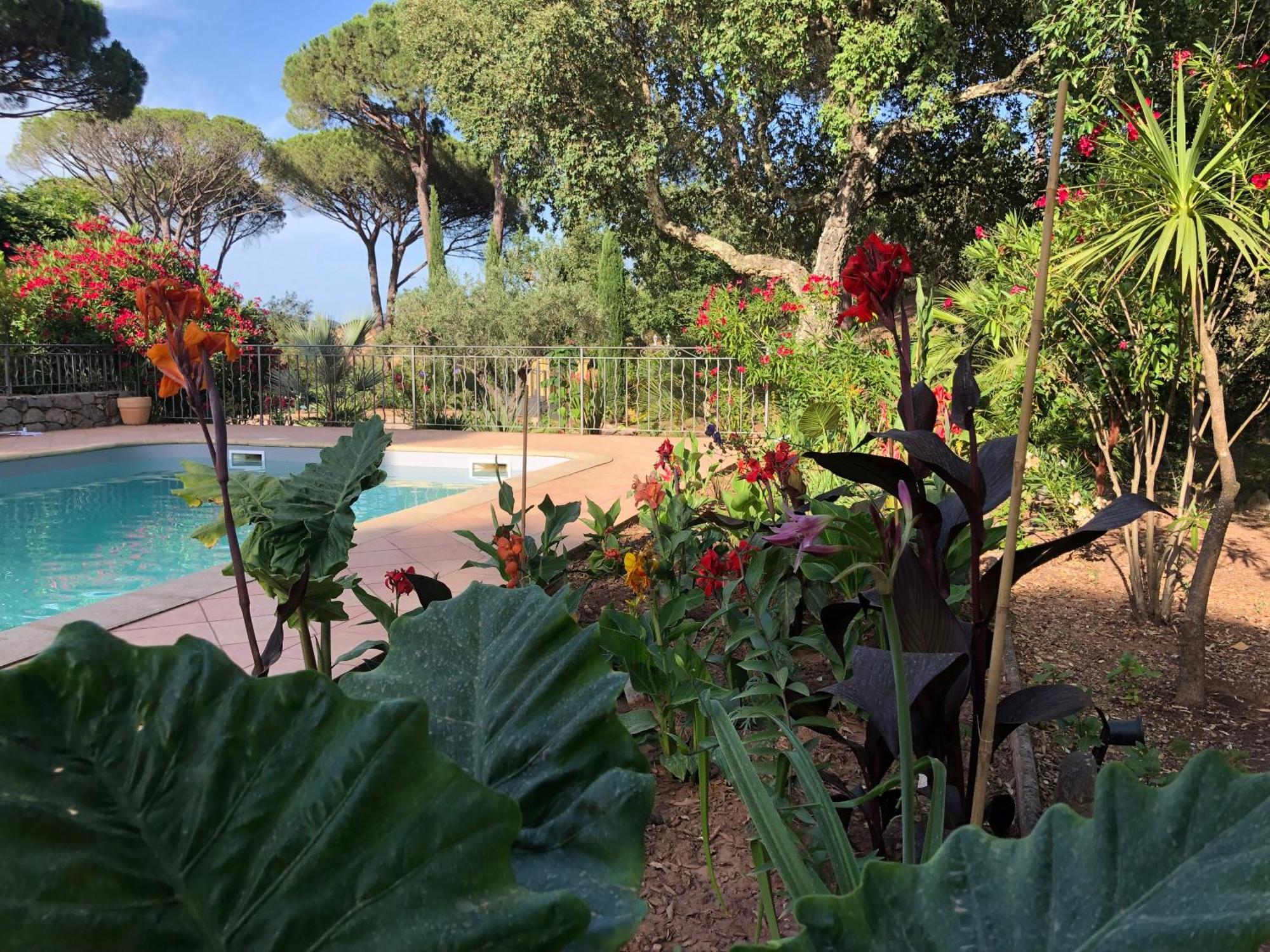 Sous Les Pins Parasols Vidauban Buitenkant foto