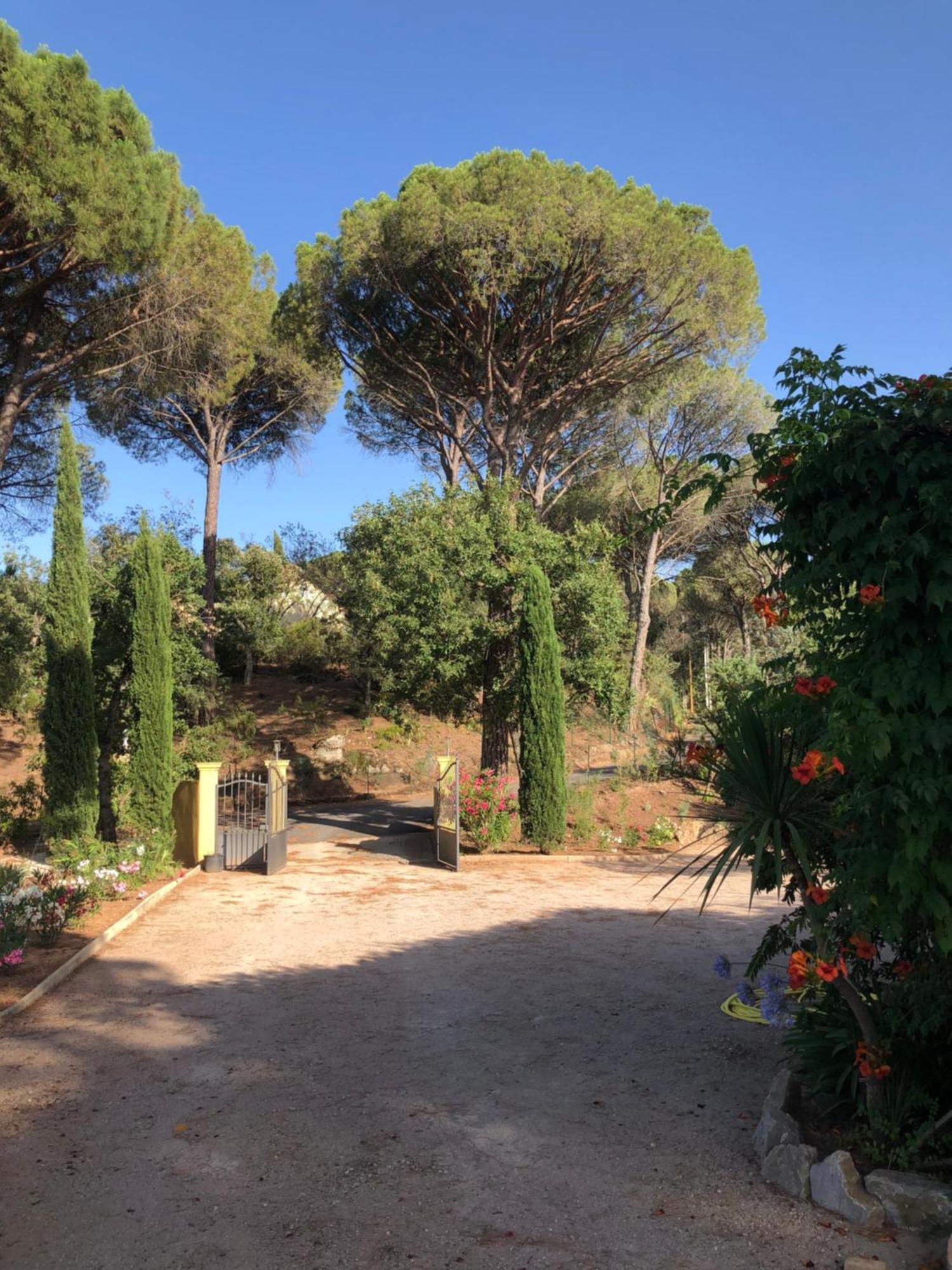Sous Les Pins Parasols Vidauban Buitenkant foto