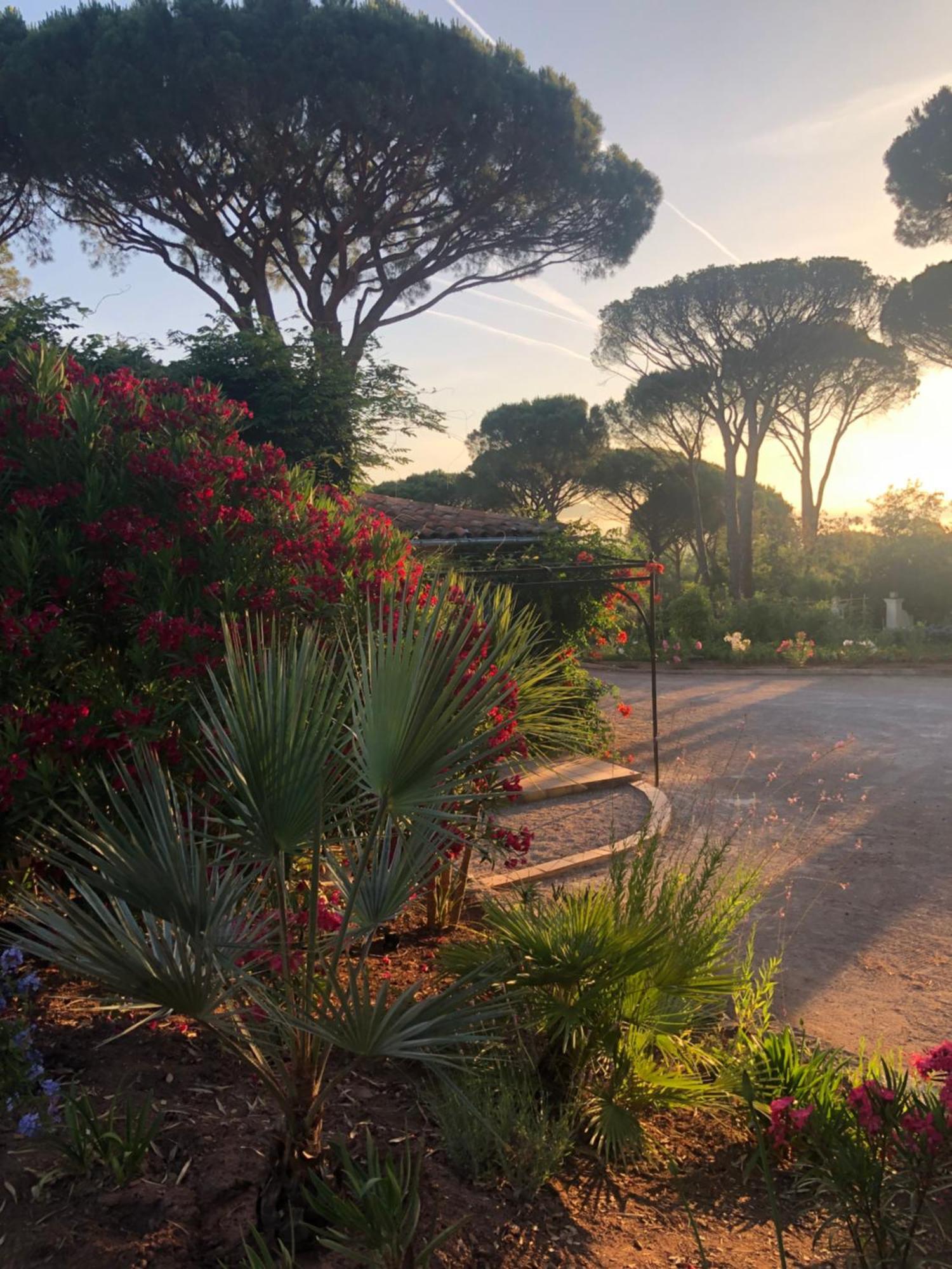 Sous Les Pins Parasols Vidauban Buitenkant foto