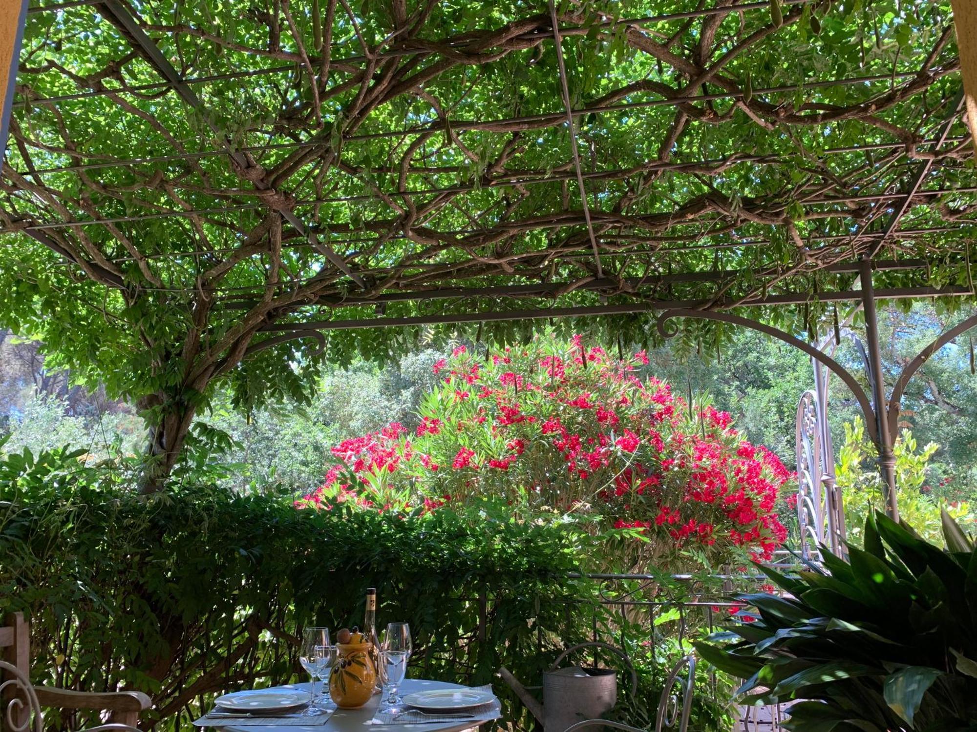 Sous Les Pins Parasols Vidauban Buitenkant foto