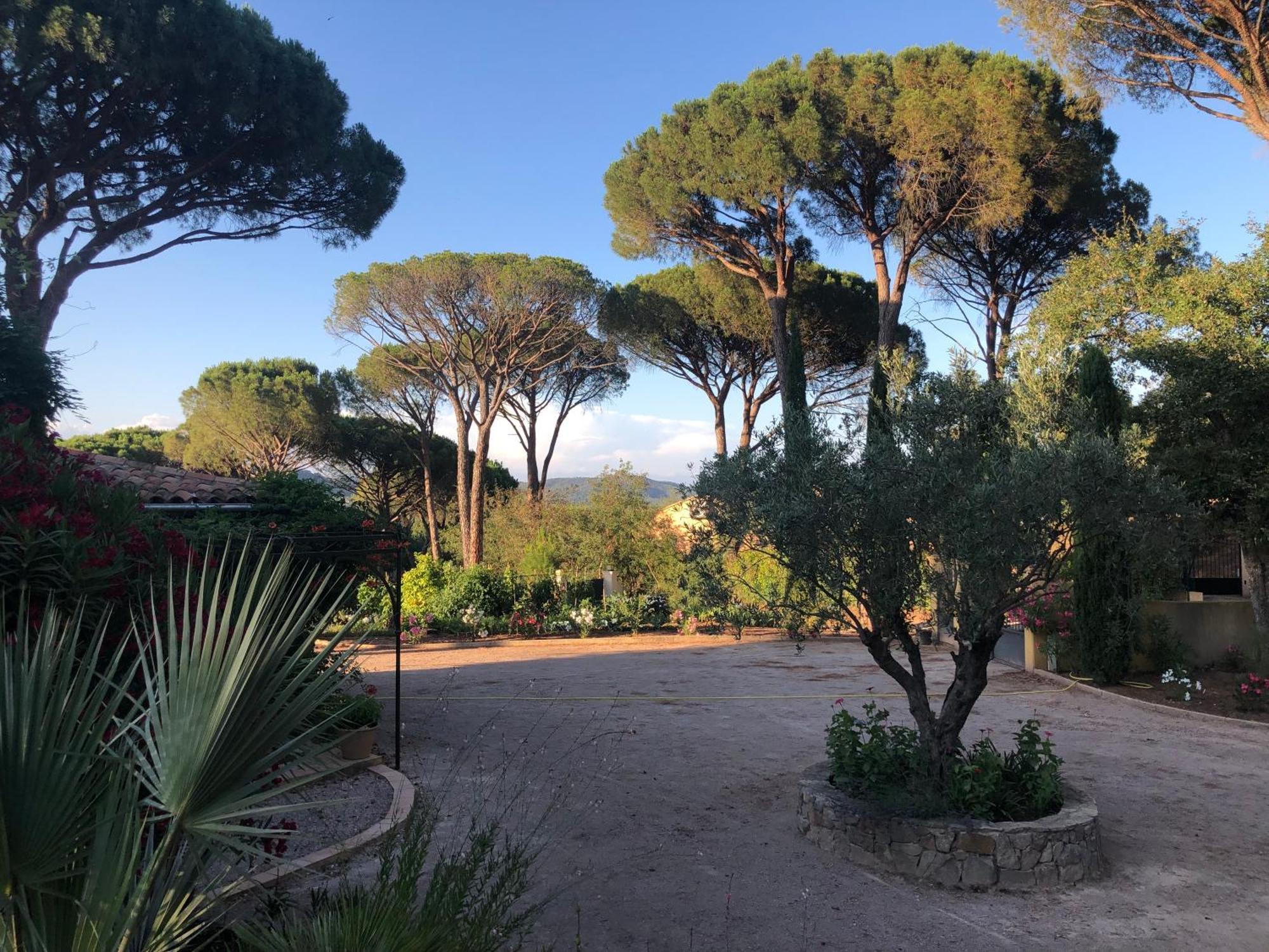 Sous Les Pins Parasols Vidauban Buitenkant foto