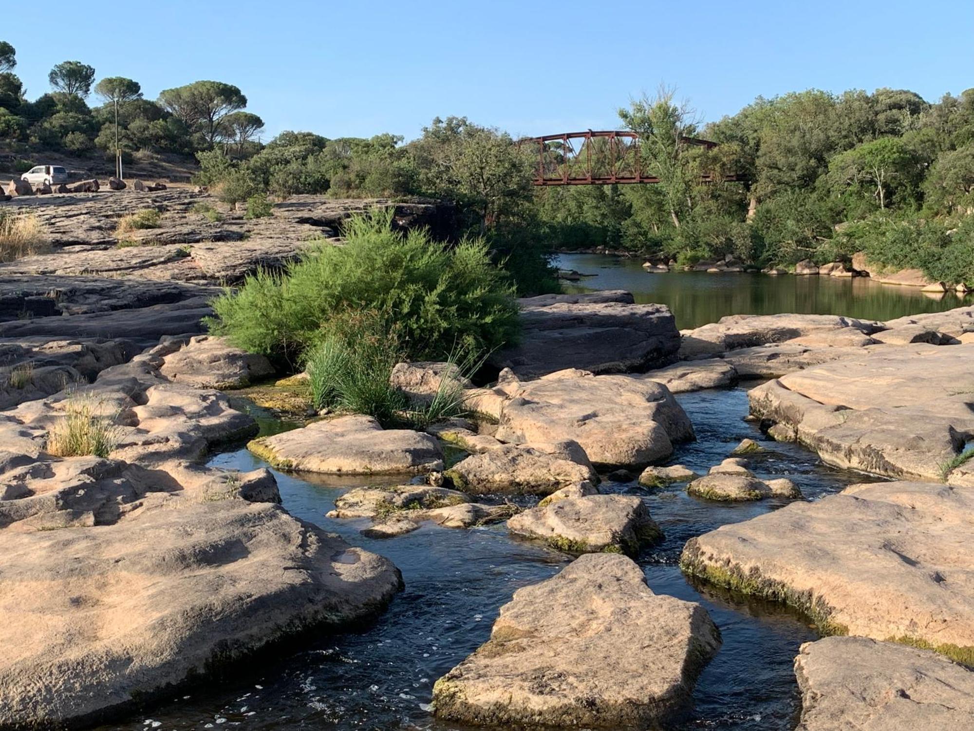 Sous Les Pins Parasols Vidauban Buitenkant foto