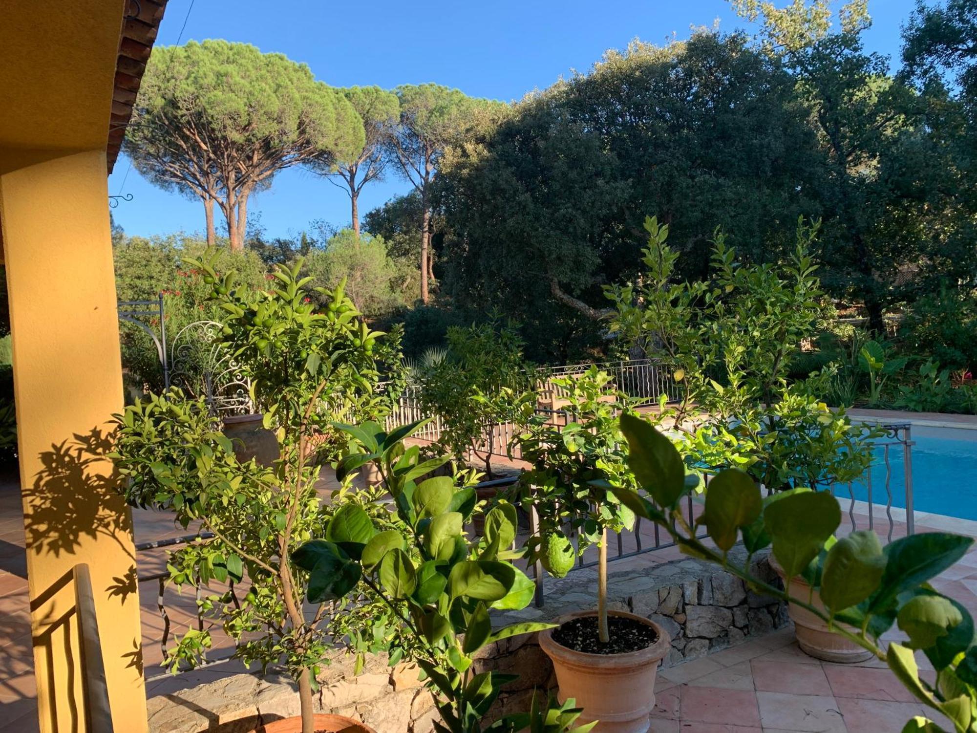 Sous Les Pins Parasols Vidauban Buitenkant foto
