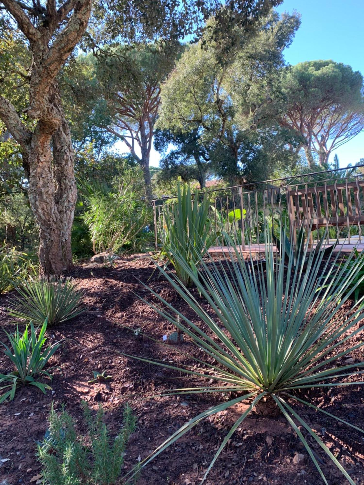 Sous Les Pins Parasols Vidauban Buitenkant foto