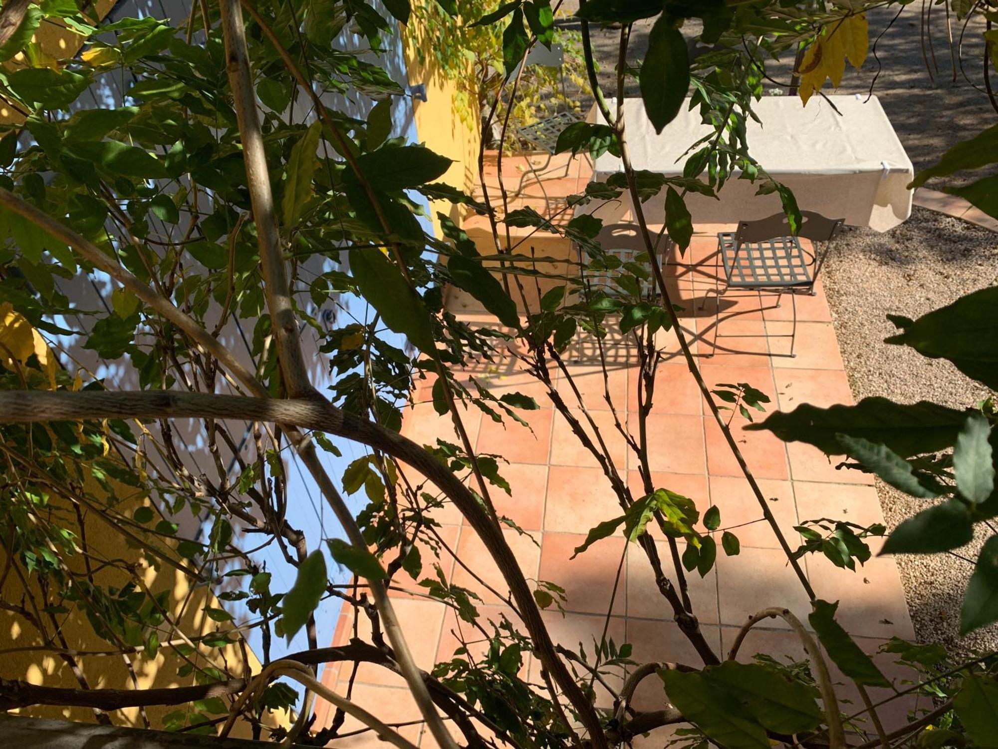 Sous Les Pins Parasols Vidauban Buitenkant foto